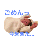 りゅうちゃん2（個別スタンプ：17）