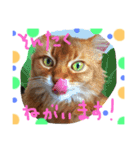 my  cat4（個別スタンプ：11）