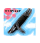 my  cat4（個別スタンプ：13）