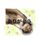 ぽこたくん（個別スタンプ：14）