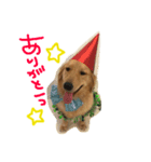りくもも（個別スタンプ：2）