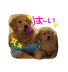 りくもも（個別スタンプ：8）