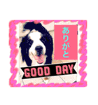 バーニーズ犬ジョンの言葉2（個別スタンプ：3）