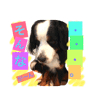 バーニーズ犬ジョンの言葉2（個別スタンプ：11）