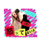 バーニーズ犬ジョンの言葉2（個別スタンプ：34）