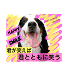 バーニーズ犬ジョンの言葉2（個別スタンプ：40）