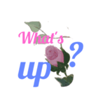 tolepainting2（個別スタンプ：1）