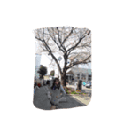 いつでも使えるみやっつ（個別スタンプ：16）