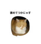 まめちゃんと愉快な仲間たち（個別スタンプ：13）