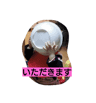 riisashinta（個別スタンプ：8）