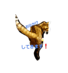 元気な猫さんたち（個別スタンプ：3）