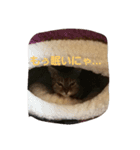 おねむなにゃんこ❤（個別スタンプ：8）