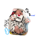 YURAちゃんず（個別スタンプ：6）