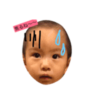 虎之助DX（個別スタンプ：2）