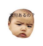 虎之助DX（個別スタンプ：4）