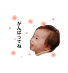 HAPPY Kihochan（個別スタンプ：18）