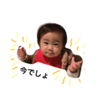 HAPPY Kihochan（個別スタンプ：29）