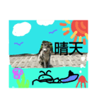 huskydock（個別スタンプ：7）