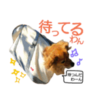 ティアラ ～日常会話～（個別スタンプ：2）