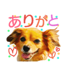 ティアラ ～日常会話～（個別スタンプ：3）