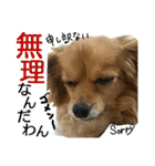 ティアラ ～日常会話～（個別スタンプ：6）