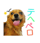 ティアラ ～日常会話～（個別スタンプ：20）