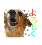 ティアラ ～日常会話～（個別スタンプ：22）