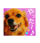 ティアラ ～日常会話～（個別スタンプ：23）