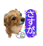 ティアラ ～日常会話～（個別スタンプ：28）