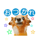 ティアラ ～日常会話～（個別スタンプ：29）