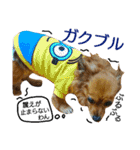 ティアラ ～日常会話～（個別スタンプ：30）