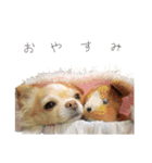 こまる日和（個別スタンプ：13）