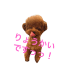 komachi1005（個別スタンプ：2）
