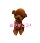 komachi1005（個別スタンプ：5）