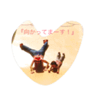 kaz's life stickers（個別スタンプ：8）