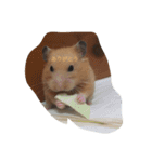 my lazy hamster02（個別スタンプ：3）