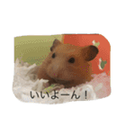 my lazy hamster02（個別スタンプ：9）