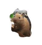 my lazy hamster02（個別スタンプ：13）