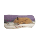 my lazy hamster02（個別スタンプ：16）