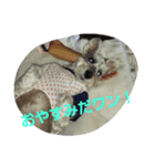 大福！（個別スタンプ：1）