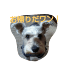 大福！（個別スタンプ：3）