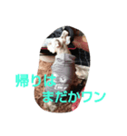 大福！（個別スタンプ：4）