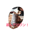 大福！（個別スタンプ：7）