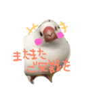 とろろシリーズ（個別スタンプ：1）