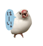 とろろシリーズ（個別スタンプ：2）