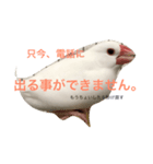 とろろシリーズ（個別スタンプ：6）