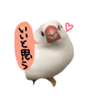 とろろシリーズ（個別スタンプ：8）