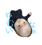 achahi asahi2（個別スタンプ：8）