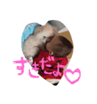 SORA ♡ REO（個別スタンプ：17）