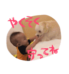 SORA ♡ REO（個別スタンプ：20）